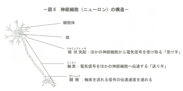 ストレスの正体～自律神経が体に及ぼす影響～】その6 - カイロプラクティックをはじめるなら｜全国健康生活普及会（全健会）